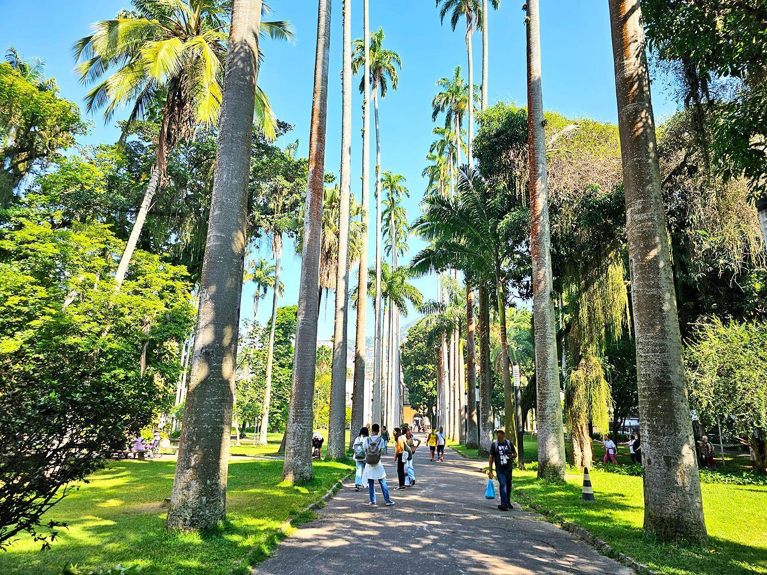 Apartamento Na Zona Sul Do Rio Rio de Janeiro Eksteriør billede